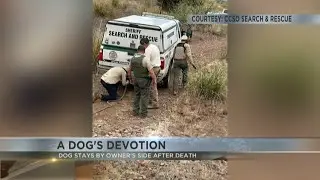 Dog stays by owner's side after death