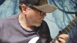 Mahogany vs poplar, which is the better wood for electric guitars?