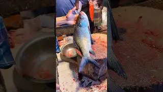 Amazing Cutting Video | Big Catla Fish Cut By Expert Fish Cutter