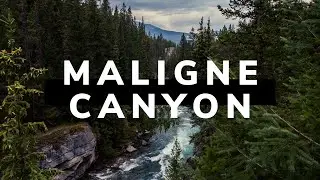 Maligne Canyon Micro Meditation -  Easy Hike for Minfulness & Self Awareness