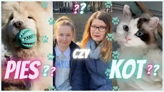 ROZSTRZYGAMY NAJWIĘKSZY SPÓR - KOT CZY PIES | GDZIE ZJEŚĆ? | CAT CAFE I PSIKAWKA