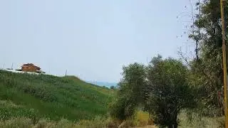 Call duck flying away