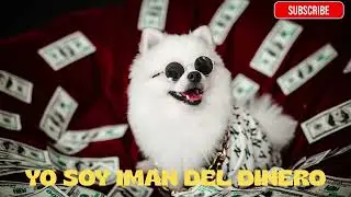 YO SOY UN IMAN DEL DINER, YO SOY RIQUEZA!