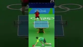 How Olympic Table Tennis Works 🏓 #Paris2024 #olympics #summergamed #sports #tabletennis #pingpong
