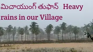 cyclone effect in our Village#tuni#subscribe to my channel it's me Alekya 1391#