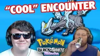 A COOL ENCOUNTER! | Pokemon Black and White Randomizer Bitlocke #20