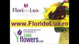 Florariile FlorideLux