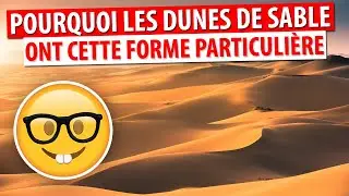 POURQUOI LES DUNES DE SABLE ONT CETTE FORME SI PARTICULIÈRE ? LA RÉPONSE EST INCROYABLE !