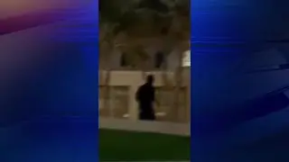 Burglar broke into Eden Roc room through balcony; suspect arrested