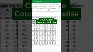 Make Your Excel Look Professional with Angled Headers 💼  #excel