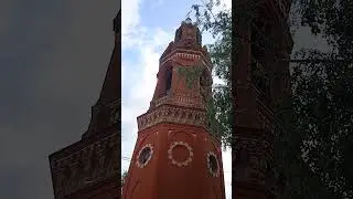 белый #голубь символ святого духа #москва #храм #святойдух