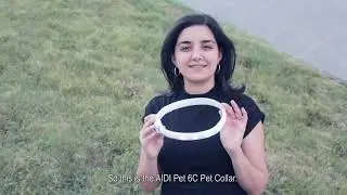 Cool Light UP RGB LED Multi-color Light Pet Collar Custom Size Flashing Glowing In Dark C6