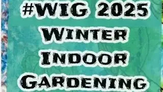 #WIG 2025 Winter Indoor Gardening
