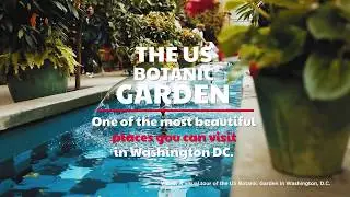 THE 5 MOST STUNNING PARKS IN WASHINGTON DC