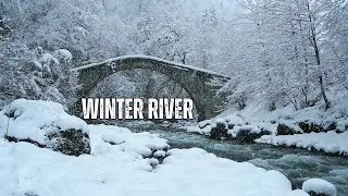 Winter River Sounds | Snowy Forest Ambience for Relaxation & Sleep