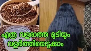 😍 FLAX SEED GEL FOR FASTER HAIR GROWTH | HAIR CARE MALAYALAM |  VLOGIFICATION