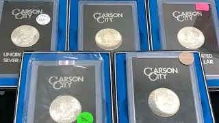 GSA Carson City Morgans 1880-1885 Graded and Ungraded