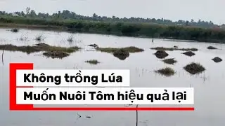 Nu&ocirc;i T&ocirc;m thất qu&aacute; n&ecirc;n đăng k&iacute; Tham gia &ldquo;Vu&ocirc;ng T&ocirc;m Vượt Kh&oacute;&rdquo; để học hỏi c&aacute;ch nu&ocirc;i mới gi&uacute;p th&agrave;nh c&ocirc;ng