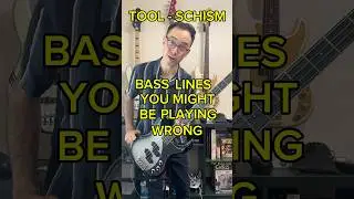Bass Lines You Might Be Playing Wrong: Tool - Schism