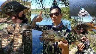 PESCA COM ESTILINGUE! ACERTEI UNS CARÁ MONSTRO E ASSAMOS !🔥🎣😋 #pescacomestilingue #estilingue #cara 