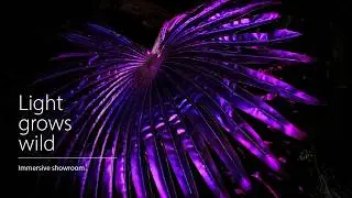 Case Study - Projection Mapping for Planting
