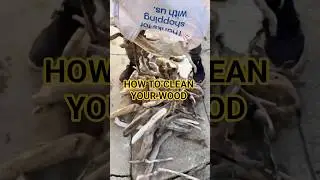 How to clean your driftwood! 🪵