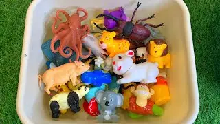 Zoo Animal Toys with Names!  #KidsLearning