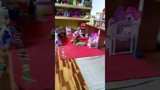Mi perro le ladra.a todo