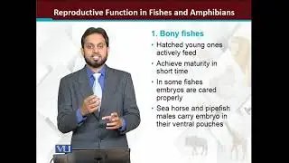 Examples of reproduction in Fishes and Amphibians | Principles of Animal Life-I | ZOO514T_Topic140