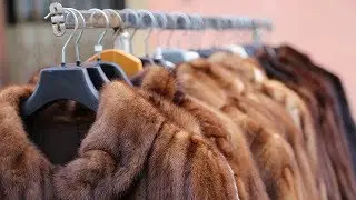 San Francisco becomes largest U.S. City to Ban Fur Sales