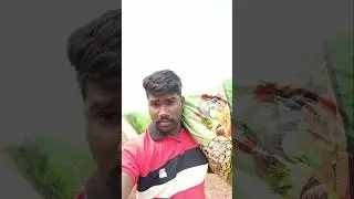 #today#vlog#prasadkuwait