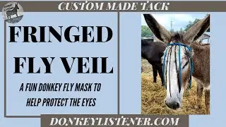 ✨Custom Fringe Fly Veil (Donkey Fly Mask)