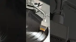 A Taste Of Honey - Tom Jones
