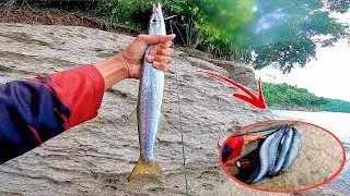 DISERBU GEROMBOLAN IKAN ‼️ MANCING CASTING DI SPOT PINGGIR PANTAI