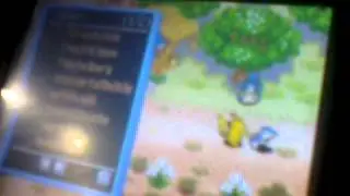 Einfach aufner hochzeit pokemon zocken