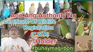 Ano Ang Authority Ng Isang Certificate Of Wildlife Registration (C.W.R) Holder #buhaymagiibon