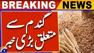 Scientists introduce 3 new varieties of climate-resilient wheat in KP | Geo News
