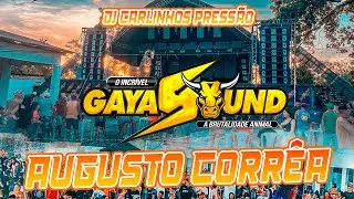 GAYA SOUND - AUGUSTO CORREA - DJ CARLINHOS PRESSÃO