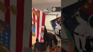 Bucket Fairness Game
