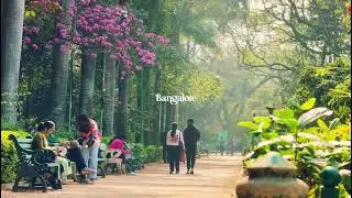 Cubbon Park, Bangalore | beautiful garden 
