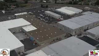 Packing and shipping Washington cherry season 2020 @ Sage Fruit
