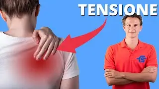 Rigidit&agrave; e TENSIONE tra le scapole | Routine di esercizi giornalieri!