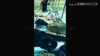 Kumpulan strike
