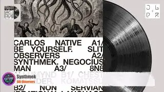 Slit Observers - Synthmek [Tiger Weeds]