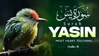 Surah Yaseen سورة يس | Soothing Recitation for Protection, Guidance & Restful Sleep #yasin