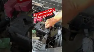 Always check your car battery #technicalgyan #automobile