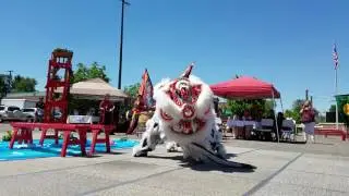 Far East Dragon Lion Dance Association Team Phoenix - CLDC 2017