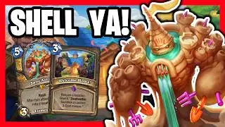 Location Paladin is sUN-BELIEVABLE! Hearthstone Paladin Deck