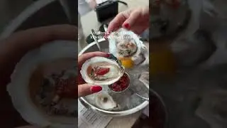 alllll of our eats in portland, maine (well just the highlights that i remembered to film) #maine