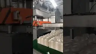 PS foam tray double robot forming machine#smartfoammachinery #automation#psfoam#lunchboxmachine